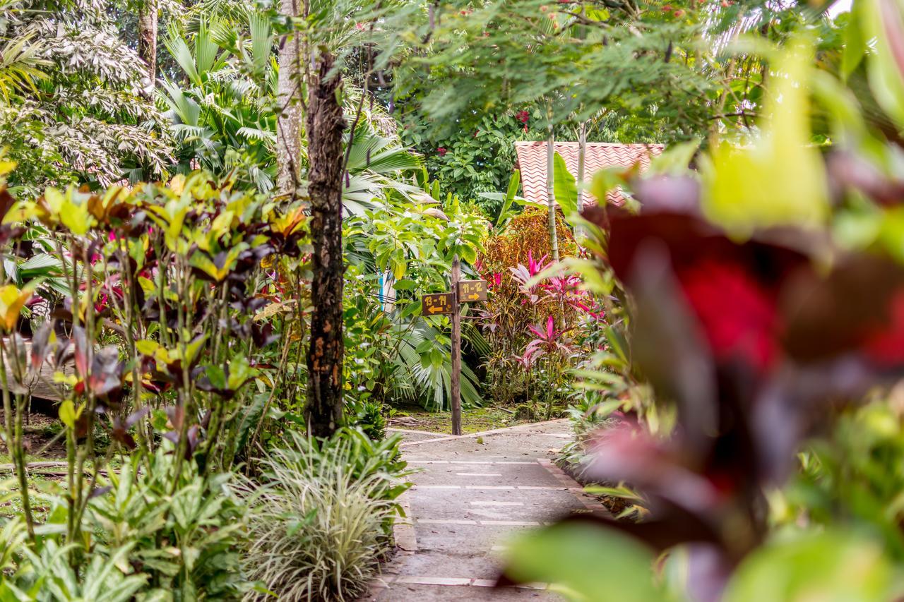 Atlantida Lodge Cahuita Exterior photo