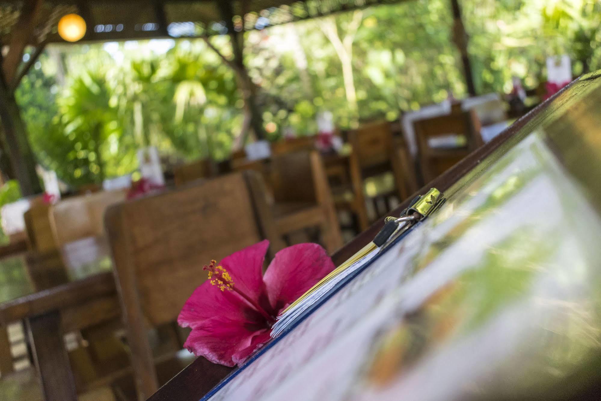 Atlantida Lodge Cahuita Exterior photo